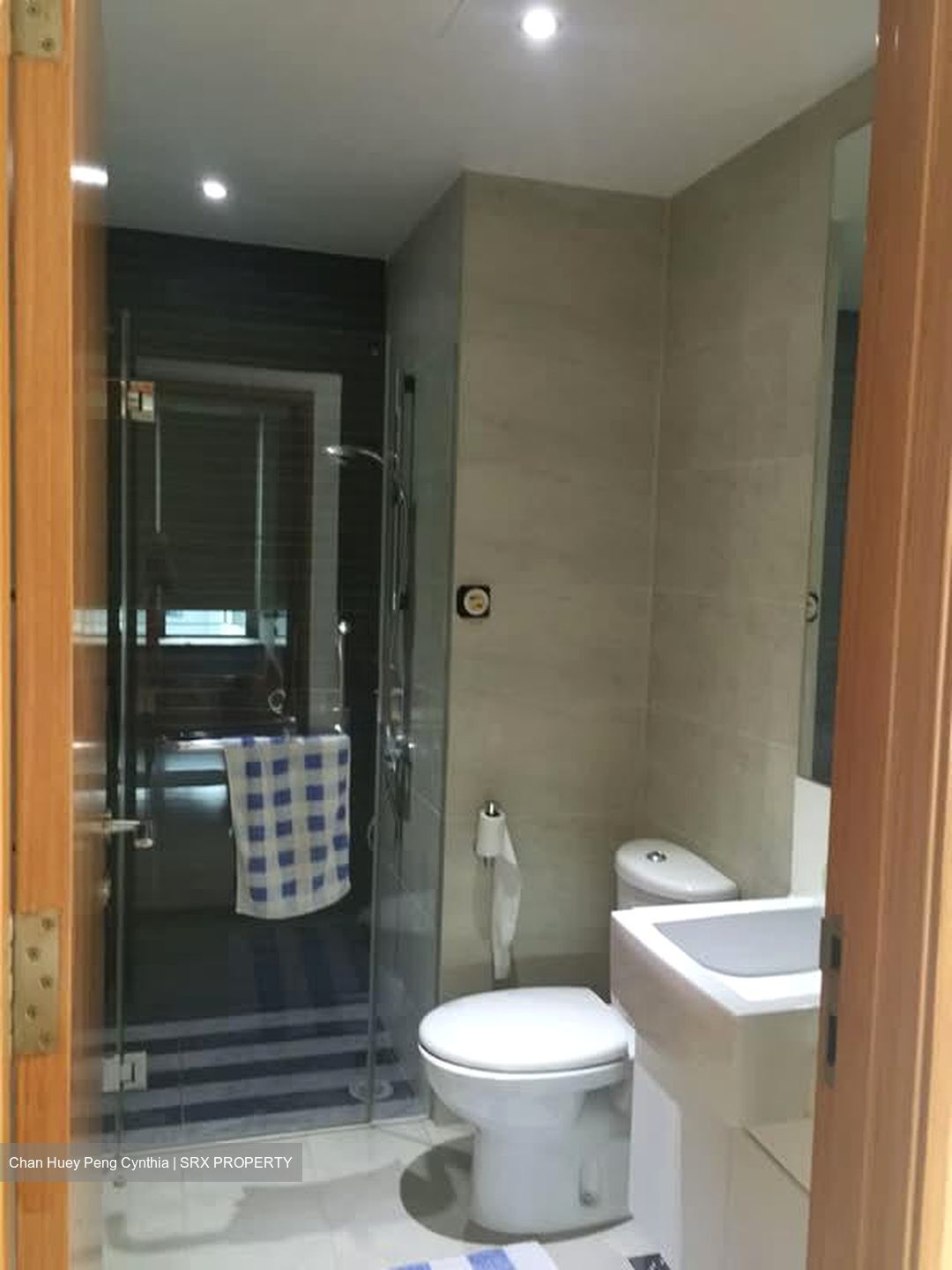 Park Infinia At Wee Nam (D11), Condominium #576683951
